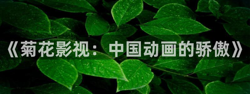 好好看影院：《菊花影視：中國動畫的驕傲》