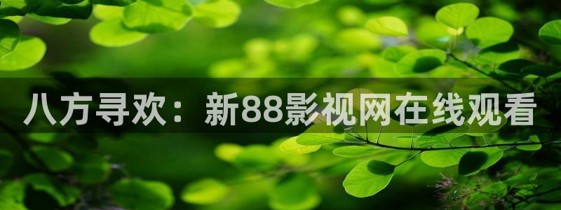 《四庫影視》電視劇在線觀看-好看影院：八方尋歡：新88影視網在線觀看