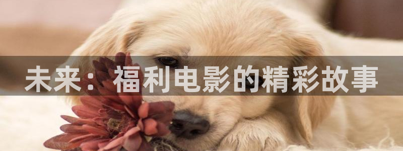 《四庫影視》電視劇在線觀看-好看影院：未來：福利電影的精彩故事